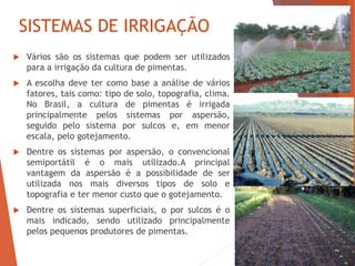 SISTEMAS DE IRRIGAÇÃO
 Vários são os sistemas que podem ser utilizados
para a irrigação da cultura de pimentas.
 A escolha deve ter como base a análise de vários
fatores, tais como: tipo de solo, topografia, clima.
No Brasil, a cultura de pimentas é irrigada
principalmente pelos sistemas por aspersão,
seguido pelo sistema por sulcos e, em menor
escala, pelo gotejamento.
 Dentre os sistemas por aspersão, o convencional
semiportátil é o mais utilizado.A principal
vantagem da aspersão é a possibilidade de ser
utilizada nos mais diversos tipos de solo e
topografia e ter menor custo que o gotejamento.
 Dentre os sistemas superficiais, o por sulcos é o
mais indicado, sendo utilizado principalmente
pelos pequenos produtores de pimentas.
 