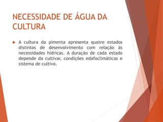 NECESSIDADE DE ÁGUA DA
CULTURA
 A cultura da pimenta apresenta quatro estados
distintos de desenvolvimento com relação às
necessidades hídricas. A duração de cada estado
depende da cultivar, condições edafoclimáticas e
sistema de cultivo.
 