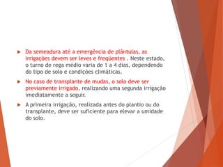  Da semeadura até a emergência de plântulas, as
irrigações devem ser leves e freqüentes . Neste estado,
o turno de rega médio varia de 1 a 4 dias, dependendo
do tipo de solo e condições climáticas.
 No caso de transplante de mudas, o solo deve ser
previamente irrigado, realizando uma segunda irrigação
imediatamente a seguir.
 A primeira irrigação, realizada antes do plantio ou do
transplante, deve ser suficiente para elevar a umidade
do solo.
 