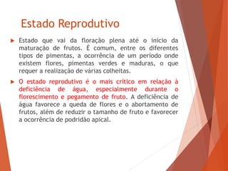 Estado Reprodutivo
 Estado que vai da floração plena até o início da
maturação de frutos. É comum, entre os diferentes
tipos de pimentas, a ocorrência de um período onde
existem flores, pimentas verdes e maduras, o que
requer a realização de várias colheitas.
 O estado reprodutivo é o mais crítico em relação à
deficiência de água, especialmente durante o
florescimento e pegamento de fruto. A deficiência de
água favorece a queda de flores e o abortamento de
frutos, além de reduzir o tamanho de fruto e favorecer
a ocorrência de podridão apical.
 
