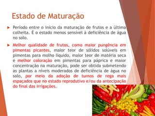 Estado de Maturação
 Período entre o início da maturação de frutos e a última
colheita. É o estado menos sensível à deficiência de água
no solo.
 Melhor qualidade de frutos, como maior pungência em
pimentas picantes, maior teor de sólidos solúveis em
pimentas para molho líquido, maior teor de matéria seca
e melhor coloração em pimentas para páprica e maior
concentração na maturação, pode ser obtida submetendo
as plantas a níveis moderados de deficiência de água no
solo, por meio da adoção de turnos de rega mais
espaçados que no estado reprodutivo e/ou da antecipação
do final das irrigações.
 