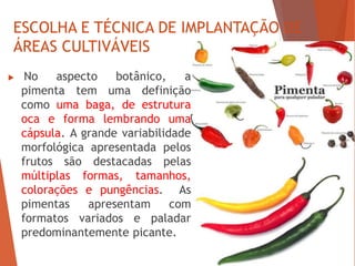 ESCOLHA E TÉCNICA DE IMPLANTAÇÃO DE
ÁREAS CULTIVÁVEIS
 No aspecto botânico, a
pimenta tem uma definição
como uma baga, de estrutura
oca e forma lembrando uma
cápsula. A grande variabilidade
morfológica apresentada pelos
frutos são destacadas pelas
múltiplas formas, tamanhos,
colorações e pungências. As
pimentas apresentam com
formatos variados e paladar
predominantemente picante.
 