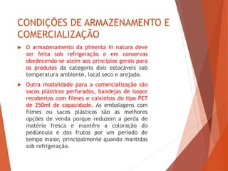 CONDIÇÕES DE ARMAZENAMENTO E
COMERCIALIZAÇÃO
 O armazenamento da pimenta in natura deve
ser feita sob refrigeração e em conservas
obedecendo-se assim aos princípios gerais para
os produtos da categoria dois estocáveis sob
temperatura ambiente, local seco e arejado.
 Outra modalidade para a comercialização são
sacos plásticos perfurados, bandejas de isopor
recobertas com filmes e caixinhas do tipo PET
de 250ml de capacidade. As embalagens com
filmes ou sacos plásticos são as melhores
opções de venda porque reduzem a perda de
matéria fresca e mantêm a coloração do
pedúnculo e dos frutos por um período de
tempo maior, principalmente quando mantidas
sob refrigeração.
 