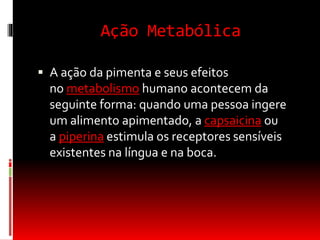 Ação Metabólica
 A ação da pimenta e seus efeitos
no metabolismo humano acontecem da
seguinte forma: quando uma pessoa ingere
um alimento apimentado, a capsaicina ou
a piperina estimula os receptores sensíveis
existentes na língua e na boca.
 