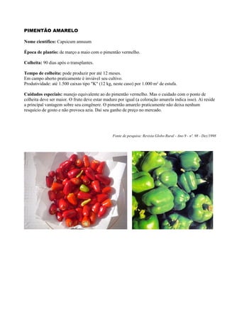PIMENTÃO AMARELO

Nome científico: Capsicum annuum

Época de plantio: de março a maio com o pimentão vermelho.

Colheita: 90 dias após o transplantes.

Tempo de colheita: pode produzir por até 12 meses.
Em campo aberto praticamente é inviável seu cultivo.
Produtividade: até 1.500 caixas tipo "K" (12 kg, neste caso) por 1.000 m² de estufa.

Cuidados especiais: manejo equivalente ao do pimentão vermelho. Mas o cuidado com o ponto de
colheita deve ser maior. O fruto deve estar maduro por igual (a coloração amarela indica isso). Aí reside
a principal vantagem sobre seu congênere. O pimentão amarelo praticamente não deixa nenhum
resquício de gosto e não provoca azia. Daí seu ganho de preço no mercado.




                                                Fonte de pesquisa: Revista Globo Rural - Ano 9 - nº. 98 - Dez/1998
 