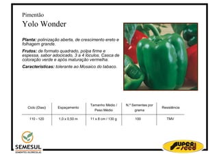 Pimentao Yolo Wonder