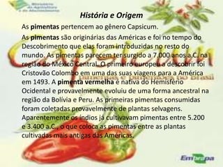 Pimentas | PPTX