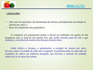 IRRIGAÇÃO
LIMITAÇÕES
• Alto custo de aquisição e de manutenção do sistema, principalmente em relação ao
sistema por sulco, e
• Risco de entupimento dos gotejadores.
As irrigações por gotejamento podem e devem ser realizadas em regime de alta
frequência, pois se trata de um sistema fixo, que molha somente parte do solo e que
minimiza a ocorrência da maioria das doenças da parte aérea.
Ainda relativo a doenças, o gotejamento, a exemplo do sistema por sulco,
favorece maior severidade de oídio que a aspersão. O problema pode ser agravado em
condições de cultivo em ambiente protegido, que favorece o aumento da umidade
relativa do ar no dossel da cultura.
 