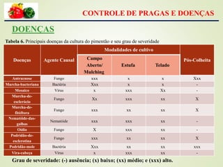 Doenças Agente Causal
Modalidades de cultivo
Pós-ColheitaCampo
Aberto/
Mulching
Estufa Telado
Antracnose Fungo xxx x x Xxx
Murcha-bacteriana Bactéria Xxx x x -
Mosaico Vírus x xxx Xx -
Murcha-de-
esclerócio
Fungo Xx xxx xx X
Murcha-de-
fitóftora
Fungo xxx xx xx X
Nematóide-das-
galhas
Nematóide xxx xxx xx -
Oídio Fungo X xxx xx -
Podridão-de-
esclerotina
Fungo xxx xx xx X
Podridão-mole Bactéria Xxx xx xx xxx
Vira-cabeça Vírus x xxx xx -
CONTROLE DE PRAGAS E DOENÇAS
DOENÇAS
Tabela 6. Principais doenças da cultura do pimentão e seu grau de severidade
Grau de severidade: (-) ausência; (x) baixo; (xx) médio; e (xxx) alto.
 