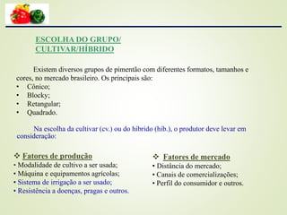 ESCOLHA DO GRUPO/
CULTIVAR/HÍBRIDO
Existem diversos grupos de pimentão com diferentes formatos, tamanhos e
cores, no mercado brasileiro. Os principais são:
• Cônico;
• Blocky;
• Retangular;
• Quadrado.
 Fatores de produção
• Modalidade de cultivo a ser usada;
• Máquina e equipamentos agrícolas;
• Sistema de irrigação a ser usado;
• Resistência a doenças, pragas e outros.
 Fatores de mercado
• Distância do mercado;
• Canais de comercializações;
• Perfil do consumidor e outros.
Na escolha da cultivar (cv.) ou do híbrido (hib.), o produtor deve levar em
consideração:
 