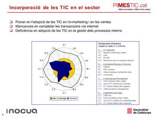 Incorporació de les TIC en el sector Pioner en l'adopció de les TIC en l’e-marketing i en les ventes Mancances en completar les transaccions via internet Deficiència en adopció de les TIC en la gestió dels processos interns 