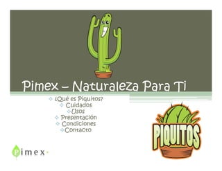 Pimex – Naturaleza Para Ti
     ¿Qué es Piquitos?
        é
        Cuidados
          Usos
       Presentación
       Condiciones
        Contacto
 