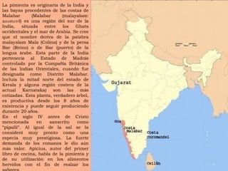 La pimienta es originaria de la India y las bayas procedentes de las costas de Malabar (Malabar (malayalam:  മലബാര് ) es una regi ó n del sur de la India, situada entre los Ghats occidentales y el mar de Arabia. Se cree que el nombre deriva de la palabra malayalam Mala (Colina) y de la persa Bar (Reino) o de Bar (puerto) de la lengua  á rabe. Esta parte de la India pertenec í a al Estado de Madr á s controlado por la Compa ñí a Brit á nica de las Indias Orientales, cuando fue designada como Distrito Malabar. Inclu í a la mitad norte del estado de Kerala y alguna regi ó n costera de la actual Karnataka) son las m á s cotizadas. Esta planta, verdadero  á rbol, es productiva desde los 8 a ñ os de existencia y puede seguir produciendo durante 20 a ñ os. En el siglo IV antes de Cristo mencionada en sanscrito como  ” pipalli ” . Al igual de la sal se la consider ó  muy pronto como una especia muy prestigiosa. La fuerte demanda de los romanos le dio a ú n m á s valor. Apicius, autor del primer libro de cocina, habla de la pimienta y de su utilizaci ó n en los alimentos hervidos con el fin de realzar los sabores. 