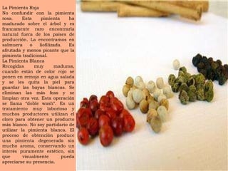La Pimienta Roja No confundir con la pimienta rosa. Esta pimienta ha madurado sobre el  á rbol y es francamente raro encontrarla natural fuera de los pa í ses de producci ó n. La encontramos en salmuera o liofilizada. Es afrutada y menos picante que la pimienta tradicional. La Pimienta Blanca Recogidas muy maduras, cuando est á n de color rojo se ponen en remojo en agua salada y se les quita la piel para guardar las bayas blancas. Se eliminan las m á s feas y se limpian otra vez. Esta operaci ó n se llama  “ doble wash ” . Es un tratamiento muy laborioso y muchos productores utilizan el cloro para obtener un producto m á s blanco. No soy partidario de utilizar la pimienta blanca. El proceso de obtenci ó n produce una pimienta degenerada sin mucho aroma, conservando un inter é s puramente est é tico, sin que visualmente pueda apreciarse su presencia. 