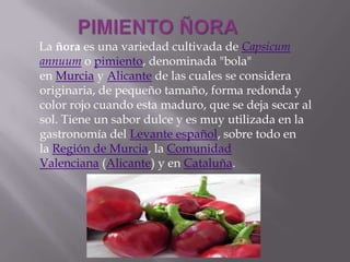 La ñora es una variedad cultivada de Capsicum
annuum o pimiento, denominada "bola"
en Murcia y Alicante de las cuales se considera
originaria, de pequeño tamaño, forma redonda y
color rojo cuando esta maduro, que se deja secar al
sol. Tiene un sabor dulce y es muy utilizada en la
gastronomía del Levante español, sobre todo en
la Región de Murcia, la Comunidad
Valenciana (Alicante) y en Cataluña.
 