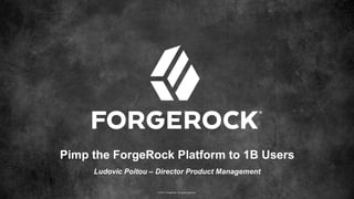 © 2017 ForgeRock. All rights reserved.
Pimp the ForgeRock Platform to 1B Users
Ludovic Poitou – Director Product Management
 