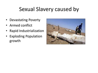 Sexual Slavery caused by
•   Devastating Poverty
•   Armed conflict
•   Rapid Industrialization
•   Exploding Population
    growth
 