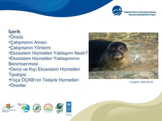 İçerik
•Önsöz
•Çalışmanın Amacı
•Çalışmanın Yöntemi 
•Ekosistem Hizmetleri Yaklaşımı Nedir?
•Ekosistem Hizmetleri Yaklaşımının 
Benimsenmesi
•Deniz ve Kıyı Ekosistem Hizmetleri 
Tipolojisi
•Foça ÖÇKB’nin Tedarik Hizmetleri
•Öneriler
Fotoğraf: SAD-AFAG
 