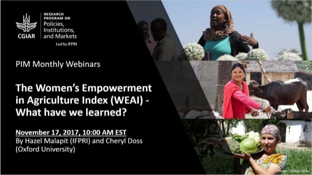 Working together to create and improve the WEAI
 