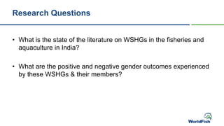 Research Questions
• What is the state of the literature on WSHGs in the fisheries and
aquaculture in India?
• What are the positive and negative gender outcomes experienced
by these WSHGs & their members?
 
