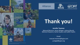 Thank you!
Jennifer Twyman
Manuel Moreno, Jenny Wiegel, Juliana Muriel,
Monica Chavarro, Carlos Suazo, and Judith Castro
Email
manuel.moreno@cgiar.com
j.wiegel@cgiar.org
 