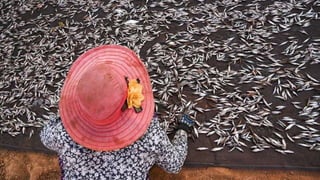 Gender dynamics in value chains: Beyond production node and a single commodity focus