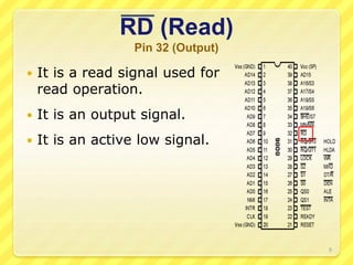 RD (Read)
Pin 32 (Output)
 It is a read signal used for
read operation.
 It is an output signal.
 It is an active low signal.
9
 
