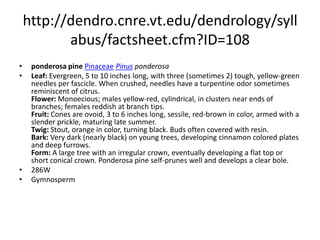 http://dendro.cnre.vt.edu/dendrology/syllabus/factsheet.cfm?ID=230western white pinePinaceaePinusmonticola
