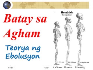 Batay sa
Agham
Teorya ng
Ebolusyon
7/7/2014 =sir.rj= 12
 