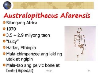 Australopithecus Afarensis
Silangang Africa
1970
3.5 – 2.9 milyong taon
“Lucy”
Hadar, Ethiopia
Mala-chimpanzee ang laki ng
utak at ngipin
Mala-tao ang pelvic bone at
binti (Bipedal)7/7/2014 =sir.rj= 25
 