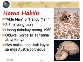 Homo Habilis
“Able Man” o “Handy Man”
2.5 milyong taon
Unang nahukay noong 1960
Olduvai Gorge sa Tanzania
at sa Kenya
Mas malaki ang utak kaysa
sa mga Australopithecus
7/7/2014 =sir.rj= 29
 