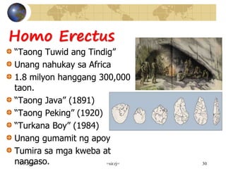Homo Erectus
“Taong Tuwid ang Tindig”
Unang nahukay sa Africa
1.8 milyon hanggang 300,000
taon.
“Taong Java” (1891)
“Taong Peking” (1920)
“Turkana Boy” (1984)
Unang gumamit ng apoy
Tumira sa mga kweba at
nangaso.7/7/2014 =sir.rj= 30
 