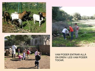 VAM PODER ENTRAR ALLÀ
ON EREN I LES VAM PODER
TOCAR.
 