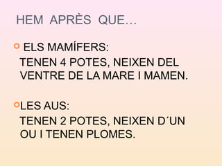 HEM APRÈS QUE…
 ELS MAMÍFERS:
TENEN 4 POTES, NEIXEN DEL
VENTRE DE LA MARE I MAMEN.
LES AUS:
TENEN 2 POTES, NEIXEN D´UN
OU I TENEN PLOMES.
 
