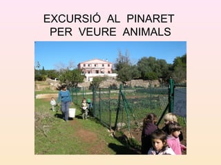 EXCURSIÓ AL PINARET
PER VEURE ANIMALS
 