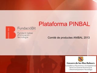 Plataforma PINBAL
Comitè de productes ANIBAL 2013

 