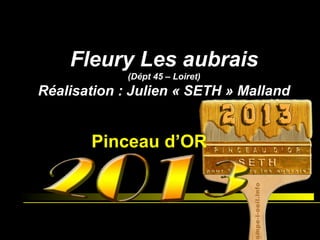 Fleury Les aubrais
(Dépt 45 – Loiret)
Réalisation : Julien « SETH » Malland
Pinceau d’OR
 