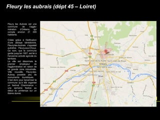 Fleury les aubrais (dépt 45 – Loiret)
Avant peinture
Fleury les Aubrais est une
commune de l’agglo-
mération d’Orléans, qui
compte environ 21 000
habitants.
Créée grâce à l'édification
d'une abbaye bénédictine,
Fleury-les-Aubrais s'appelait
autrefois Fleury-aux-Choux.
Ce nom, que la commune
garde jusqu'en 1907, est lié à
l'ancienne activité agricole du
territoire.
La ville est désormais le
premier employeur de
l'agglomération en raison de
sa grande zone industrielle.
Ville nouvelle, Fleury-les-
Aubray possède peu de
monuments touristiques.
C’est donc pour dynamiser la
commune qu’a été organisé
un festival Cheminance –
une semaine festive au
début du printemps sur un
thème donné.
 