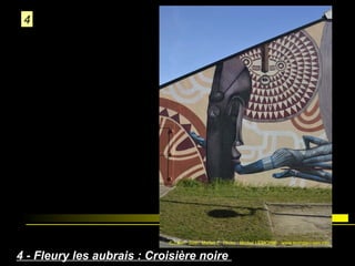 4

4 - Fleury les aubrais : Croisière noire

 