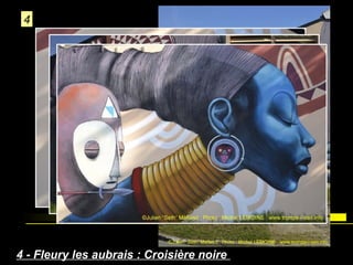 4

4 - Fleury les aubrais : Croisière noire

 