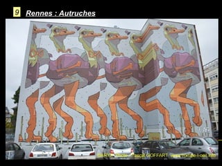 9 Rennes : Autruches

 