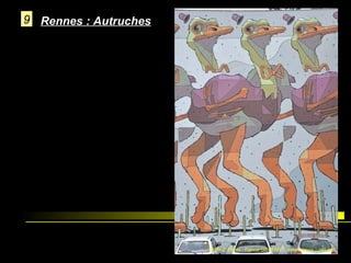 9 Rennes : Autruches

 