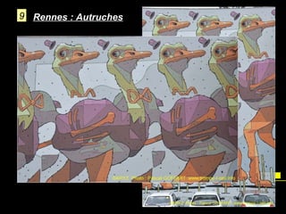 9 Rennes : Autruches

 
