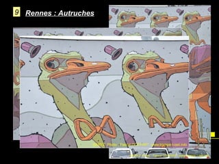 9 Rennes : Autruches

 