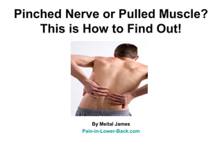 Pinched Nerve or Pulled Muscle?
    This is How to Find Out!




              By Meital James
          Pain-in-Lower-Back.com
 