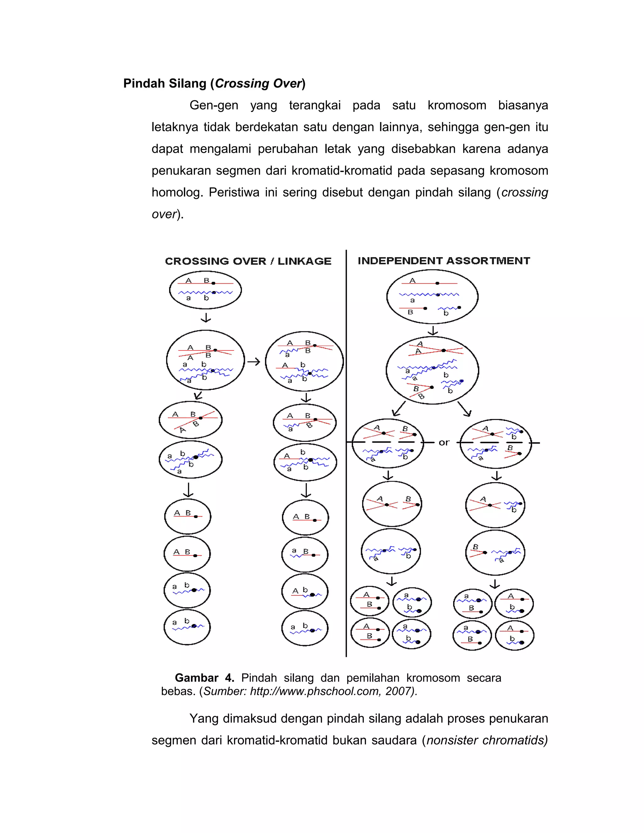 Pschoo Pindah silang | DOC