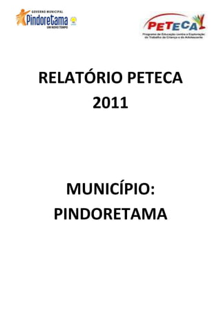 RELATÓRIO PETECA
      2011



   MUNICÍPIO:
 PINDORETAMA
 