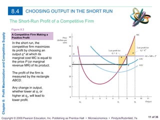 Profit maximization and competitive supply | PPT
