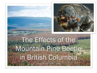 A research study by Will Ondrik
The Effects of the
Mountain Pine Beetle
in British Columbia
 