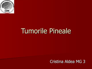 Tumorile Pineale Cristina Aldea MG 3  